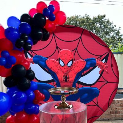 Spiderman Theme Package