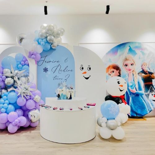 Frozen Theme Package